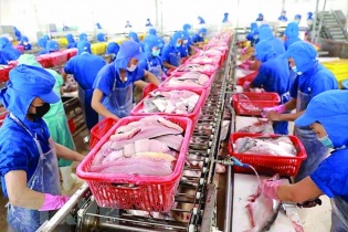 Xuất khẩu thuỷ sản sang Nga có dấu hiệu khởi sắc   