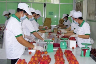 Cảnh báo việc gia tăng doanh nghiệp Việt không đáp ứng được yêu cầu SPS  