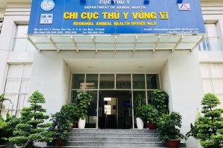 Lập công ty và bắt tay cán bộ thú y nhập bột xương từ nước từng có bò điên