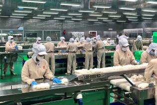 TP.HCM: Doanh nghiệp thành lập mới giảm nhẹ