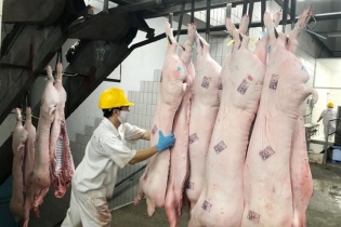 TP.HCM: Tạo chính sách đặc thù để thu hút đầu tư lĩnh vực chăn nuôi, giết mổ