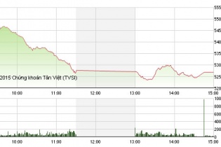 Phiên 24/8: Bán tháo ồ ạt, 454 mã giảm điểm trên hai sàn 