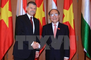 Chủ tịch Quốc hội Nguyễn Sinh Hùng hội đàm với Chủ tịch Quốc hội Hungary