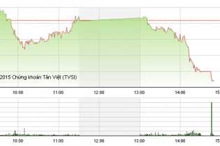 Phiên 27/11: VNM gắng giữ sắc xanh