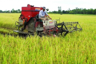 Thủ tướng yêu cầu cổ phần hóa một công ty nông nghiệp tỉnh Ninh Bình