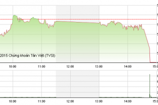 Phiên 18/12: HHS giảm sàn bất chấp lực gom mạnh từ ETFs