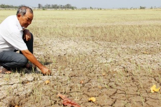 World Bank hạ dự báo tăng trưởng Việt Nam 2016 vào phút chót