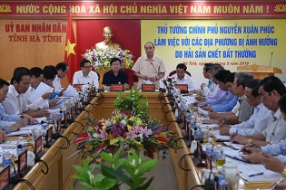 Thủ tướng làm việc với 5 tỉnh về việc cá chết bất thường