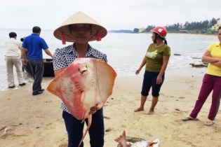 Hỗ trợ khẩn cấp người dân tại 4 tỉnh bị thiệt hại do cá chết bất thường