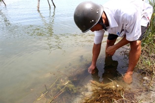 Hỗ trợ Thừa Thiên Huế xử lý dịch bệnh thủy sản