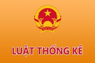 Quy định chi tiết một số điều Luật Thống kê