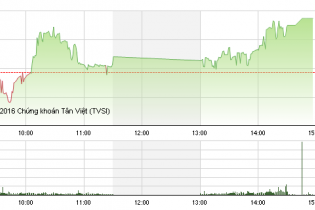 Phiên 16/8: VIC giảm mạnh, dòng tiền rục rịch bắt đáy TTF
