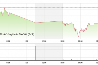 Phiên 1/9: TTF giảm sàn sau 8 phiên tăng trần liên tiếp
