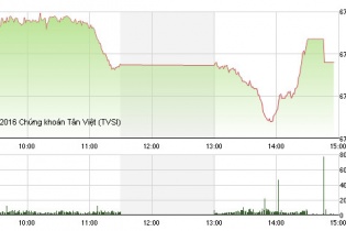 Phiên 26/10: Cổ phiếu ROS tăng lên mức kỷ lục 74.000 đồng