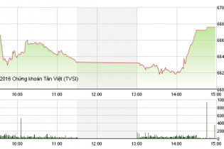 Phiên 3/11: Chứng khoán Việt Nam chao đảo vì bầu cử Tổng thống Mỹ