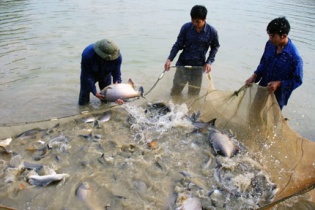 Cổ phần hóa thêm 3 đơn vị sự nghiệp công lập của tỉnh Quảng Ninh