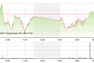 Phiên 30/12: VN-Index đóng cửa phiên cuối năm 2016 trong sắc xanh hi vọng