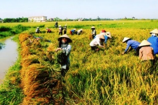 Rà soát các Chương trình hỗ trợ hợp tác xã