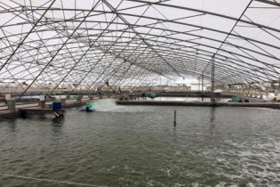 Thẩm định nguồn vốn Đề án phát triển tôm công nghệ cao Bạc Liêu