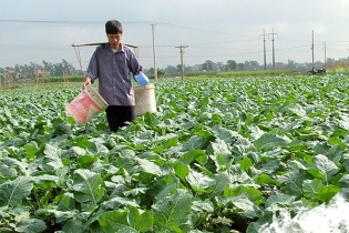 Những trường hợp nào được miễn thuế đất nông nghiệp?