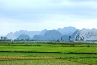 Chuyển mục đích sử dụng đất tại Bắc Ninh và Long An