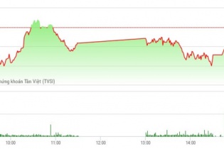 Phiên 8/5: Vào diện cảnh báo, cặp đôi HAG - HNG bị bán mạnh