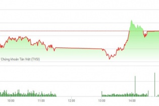 Phiên 15/5: Hàng loạt mã tăng trần, VN-Index vẫn hụt chân đáng tiếc