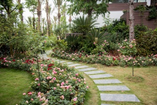 Lạc lối ở Vương quốc hoa hồng