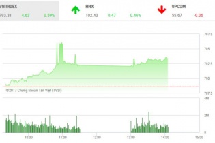 Phiên 7/8: Penny đua sắc tím,VN-Index không còn giật cục