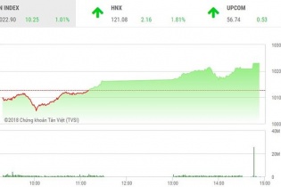 Phiên 8/1: STB, PVX tăng trần, VN-Index tiếp tục bứt tốc