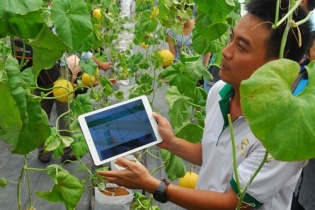 Chi tiết 23 dự án startup công nghệ nông nghiệp tham gia MATCh 2018