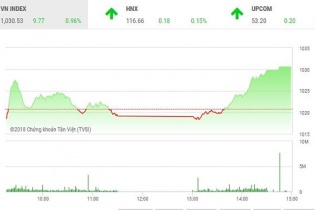 Phiên 13/6: VN-Index bất ngờ tăng vọt, chinh phục thành công mốc 1.030