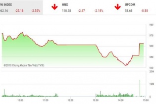 Phiên 19/6: Lực cầu bắt đáy chặn đà rơi của VN-Index