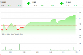 Phiên 13/8: Dòng tiền sôi động, VN-Index lên mức đỉnh của ngày
