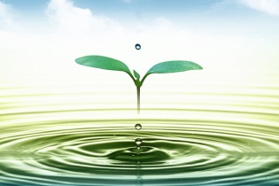 Gần 2,5 triệu USD bảo vệ tài nguyên nước ngầm ven biển vùng Đồng bằng sông Cửu Long