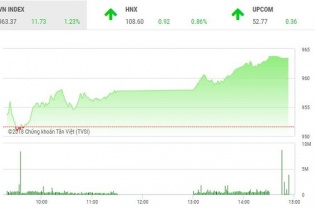 Phiên 16/10: Nhà đầu tư dè dặt xuống tiền, VN-Index lấy lại sắc xanh