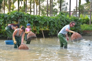 Phát triển du lịch gắn với nông thôn mới