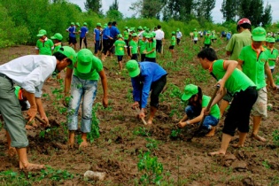 Nhiều chính sách đầu tư bảo vệ và phát triển rừng