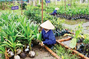 Cà Mau: Cổ phần hóa 3 đơn vị sự nghiệp công lập