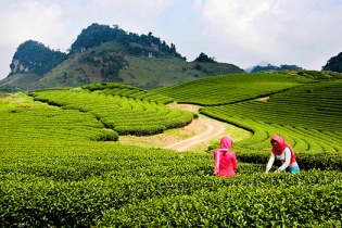 Quy hoạch chung xây dựng Khu du lịch quốc gia Mộc Châu rộng 2.000 ha