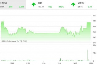 Phiên 19/6: Nhà đầu tư thận trọng, VN-Index hụt mốc 950 điểm