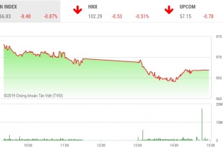 Phiên 13/8: Sắc đỏ ngập tràn, VN-Index mất gần 9 điểm