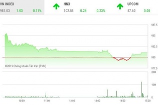 Phiên 19/8: Cổ phiếu bất động sản vừa và nhỏ tỏa sáng