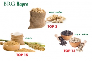 Hapro vào top "Doanh nghiệp xuất khẩu uy tín" với 3 mặt hàng chủ lực