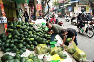 Xử lý nông sản ùn ứ ở cửa khẩu: Tập trung chế biến sâu cho thị trường nội địa