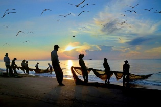 Phê duyệt nhiệm vụ lập Quy hoạch bảo vệ và khai thác nguồn lợi thuỷ sản