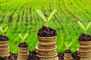 Thúc đẩy phát triển thị trường tài chính xanh cho Việt Nam