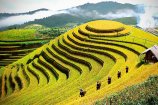 Thủ tướng phê duyệt Nhiệm vụ lập Quy hoạch tỉnh Yên Bái