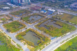 Thủ tướng chỉ đạo chấn chỉnh hoạt động thị trường trái phiếu doanh nghiệp và đấu giá quyền sử dụng đất