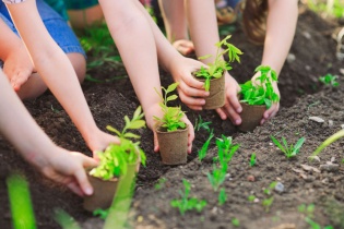 Phê duyệt Chiến lược quốc gia về biến đổi khí hậu giai đoạn đến năm 2050